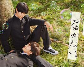 seo是怎么优化的价格是多少钱