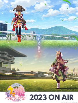 苍南seo排名优化公司